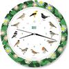 KOOKOO Singvögel Flower Planet, l'orologio degli uccelli canterini, orologio da parete rotondo con richiami naturali di uccelli, movimento al quarzo