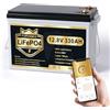 PUPVWMHB Batteria al litio Mini LiFePO4, 12 V, 330 Ah, batteria al litio, 200 A, BMS, fino a 15.000 cicli, max. 4224 Wh con taglio a bassa temperatura, perfetta per RV, solare, motore a