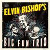 Elvin Bishop Elvin Bishop's Big Fun Trio (CD) Album