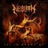 Neolith Izi. Im. Kurni-ki (CD) Album
