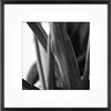 MCS Master & Co. Foundry - Cornice da parete in metallo, 30,5 x 30,5 cm, con passepartout, fino a 20,3 x 20,3 cm, colore: Nero