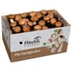 Hawlik Pilzbrut - Piccolo coltivatore di funghi, per coltivare i propri funghi, facile da maneggiare, set di coltivazione per la casa, ottimo regalo per gli amanti dei funghi e della verdura