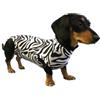 MPS Medical Pet Shirt, Cane, Stampa-Zebra, S