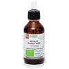FITOMEDICAL Srl Betulla bianca semi macerato glicerico 100 ml bio