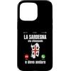 SARDEGNA Custodia per iPhone 15 Pro Max la Sardegna sta chiamando regalo Divertente Sardo Regione