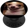 Funny Dog Humor Cute Meme Graphic (Chihu Divertente Chihuahua Viso Closeup Sfocato Cane Foto Meme PopSockets PopGrip Adesivo
