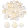QUARKZMAN 60Pcs Conchiglie A Ventaglio, 4-5cm/1.6-2 Conchiglie Naturali all'Ingrosso per DIY Pittura Paesaggio Acquario Feste A Tema Spiaggia Matrimoni E Decorazioni per La Casa, Bianche