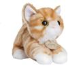 Aurora World 60467 - Peluche - Miyoni - Tots gatto soriano arancione, 8 pollici / 20,5 cm