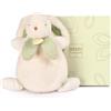 Doudou et Compagnie - Doudou Coniglio Caramella Salvia 25 cm - Piccolo Peluche Bambino per Nascita - Compagno di Sonno Morbido alle Grandi Orecchie morbide - Idea Regalo per Ragazza Ragazzo Verde