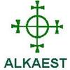ALKAEST Srl MGS5 EQUISETO MACERATO GLICERICO SPG 20 ML
