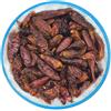 Italia Spezie - Peperoncino Piccante - Intero - 2/5 cm - Barattolo 150g