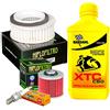 Motocar Tagliando Bardahl XTC 15W50 filtro olio aria candele Yamaha XVS 650 Drag Star