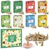 SCENTORINI Incenso Coni Naturale, 8 Profumi-120pcs- Foresta, Legno Cedro, Torta Mele, Mela Cannella, Vaniglia Menta, Cocco Vaniglia, Sole Caldo, Arancia Menta
