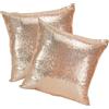 SwirlColor Federe Coppia Copri Cuscino Divano Copriletto Federe Cuscini Divano 40 x 40 per l'Home Cafe Decorazione 2 Federe (Colore champagne)
