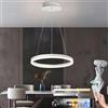 YYUTLUO Lampadario LED Moderno DIY Cerchio, 1 Bianco Anelli, 40cm=23W, H150cm Altezza Regolabile, Metallo + Acrilico, Telecomando Dimmerabile Lampadario Rotondo Soffitto Soggiorno Camera Da Letto Sala