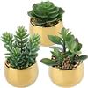 Briful 3 Piante Artificiali da Interno Piante Grasse Artificiali Decorazione Primaverile Piante Artificiali in Vaso di Ceramica Decorazione per Soggiorno, Giardino, Balcone, Camera da Letto, Bagno