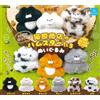 Qualia Criceti Imbottiti in Cheek Pouch Peluche Giocattolo Set Completo di 6 Capsule...