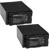 EXTENSILO 2x batteria sostituisce Panasonic CGA-D54S, CGA-D54, CGA-D54SE/1B, CGA-D54SE per videocamera camcorder (7800mAh, 7,4V, Li-Ion)