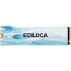 Ediloca M.2 SSD 500GB NVMe SSD M2 2280 PCIe Gen 4x4, Lettura fino a 6300 MB/s, Unità a Stato Solido Interna per Laptop e Desktop-EN880E