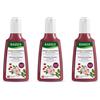Rausch Ag Kreuzlingen RAUSCH Shampoo Colorprotettivo Alla Rosa Selvatica 3x200 ml