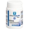 Nutergia Ergyphilus plus 60 gélules