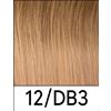 Sohair Hair Extension Fascia Hair Extension Adesiva da 1 metro 40 grammi - 40cm con Kit Omaggio 12/DB3 Biondo Chiaro Dorato / Biondo Dorato Medio