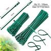 NONE 10-100pc Fascette per piante regolabili Fascette per piante da giardino flessibili Fascette per piante da giardino robuste multifunzionali verdi Fascette per piante da giardino in plastica