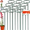 NONE 35/45/55 centimetri Supporto Da Giardino Palo Anello di Metallo Pianta Da Giardino Supporto Singola Stelo arbusto Supporto per Piante Rosa Fiori Verdure Vite