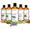 PHATOIL Oli Essenziali per Aromaterapia 100ML Eucalipto Menta Piperita Lavanda Sandalo Vaniglia Oli Aromatici per Diffusore Umidificatore