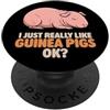 Guinea Pig Breeds Animal Cute Guinea Pig Mi piacciono davvero le cavie Ok Carino Baldwin Guinea Pig PopSockets PopGrip Adesivo