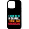 Grandma Humorous For Mom Vintage Style Custodia per iPhone 15 Pro Max Usato Charge poi aveva nipoti divertente detto