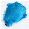Pmnzdy Piume di struzzo, 10 pezzi, 20-25 cm, piume di struzzo colorate per fai da te, decorazioni fai da te, piume di struzzo per casa, matrimoni, feste, tavoli, tavoli, carnevale, acchiappasogni
