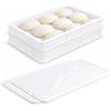PALUPLUS Set 2 Cassette con 2 Coperchi per impasti Pizza e Pane HD1, misura 60x40x10 cm e capacità 20 Litri, colore neutro, Contenitore per alimenti, porta impasto per panetti - C