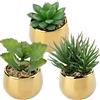 Briful 3 PCS Pianta Artificiale Piante Grasse Artificiali Decorazione Primaverile Piante da Interno Fiori Artificiali in Vaso di Ceramica Decorazione per Soggiorno, Giardino, Balcone, Camera da Letto