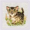 RIOLIS 2119 Gattino del Bengala Kit Punto Croce Contato 15 x 15 cm | Aida Zweigart 14 ct lino, 10 colori lana/acrilico, per Principianti e Intermedi, schema e ago inclusi