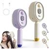 Generico 2026 New Electric Steam Brush for Hair, Hair Brush with Water Spray, Red Light Air Cushion Mister for for Short/Long Hairs, Rechargeable Steam Hair Straightener, Nourishes Hairs, Anti-Static (2pcs-A)