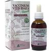 Vaccinium Vitis Idaea Gemmoderivato 50 Ml