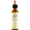 BACH Schwabe Fiori Di Bach 36 Wild Rose Gocce 20 Ml