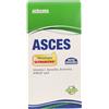 Princeps Asces 10 Buste
