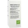 OTI SRL Oti Ribes Nigrum Tintura Madre Gocce 100 Ml