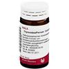 Wala Thyreoidea Ferrum Globuli 20G