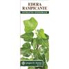 Dr.giorgini Ser-Vis Edera Rampicante Estratto Integrale 200 Ml Disinfettanti Bocca E Gola Collutorio