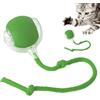 Generic Smart Interactive Pet Toy Ball | Palla rotante automatica | Giocattolo interattivo per cani intelligente Agile che si muove cane per gatto