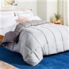 Linenspa Trapunta reversibile e inserto alternativo alla piuma, per tutte le stagioni, con cuciture a scatola e 8 passanti per piumino, biancheria per letto twin XL, pietra/antracite