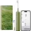 Laifen Wave Special Spazzolino Elettrico Sonico con Oscillazione & Vibrazione Dotato di App, 2 Testine di Ricambio, IP68 Impermeabile, Ideale per Viaggi(Verde)