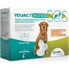 MSD Youact Entero SOS per Cani e Gatti da 7+7 bst + GADGET