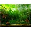 Akozon Sfondo Acquario 80x40 Acquario Poster di Sfondo, Acquario Stile Acquario Acquario Acquario Sfondo Poster Adesivo Addensare Adesivo in PVC statico aggrapparsi sullo Sfondo Decorazioni Decorati