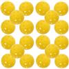 Healeved 20 Pezzi Palline Riducono Usura da Pickleball 40 Fori per Allenamento Design Aerodinamico in PE per Sessioni di Allenamento Indoor per Principianti
