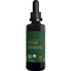 Global Healing Tulsi (basilico santo) - estratto liquido - 59ml