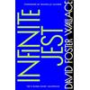 Abacus Infinite jest: a novel